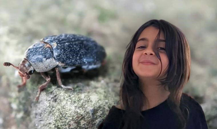 Narin cinayetinin araştırmasında yeni gelişme