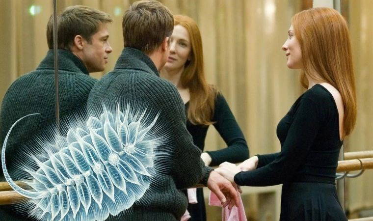 'Benjamin Button' gerçek oldu: Yaşlanmayı tersine çevirebilen deniz canlısı keşfedildi!