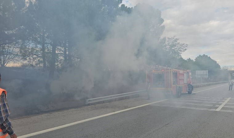 Ot yangını çıktı... TEM bir süre trafiğe kapatıldı!