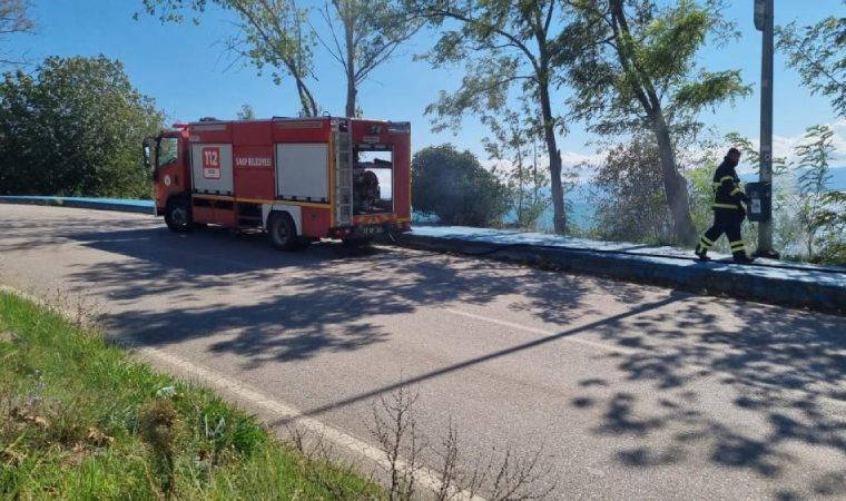 Sinop’ta yeşillik alanda yangın!