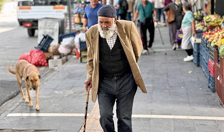 Yaşam süresinin en yüksek olduğu il Tunceli oldu: Uzun hayatın sırrı ne?