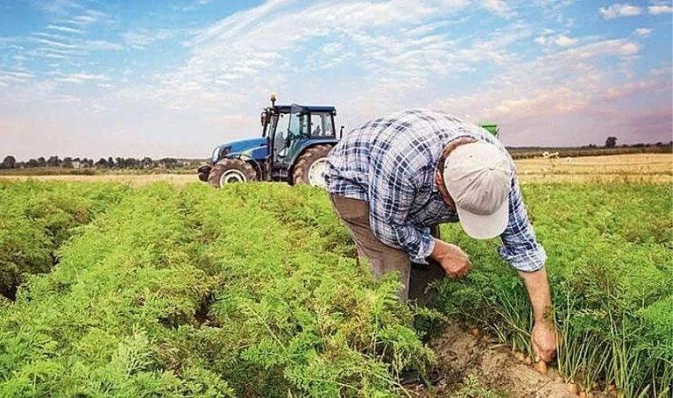 Çiftçiler Sendikası'ndan uyarı: "Yeni bitkisel üretim destekleme modeli, çiftçilerin yararına değil!"