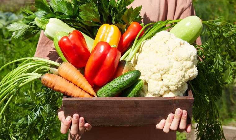 Doğaya saygılı bir beslenme biçimine gereksinim var