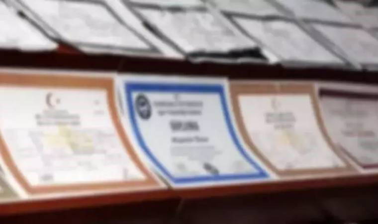 Sahte diploma furyası