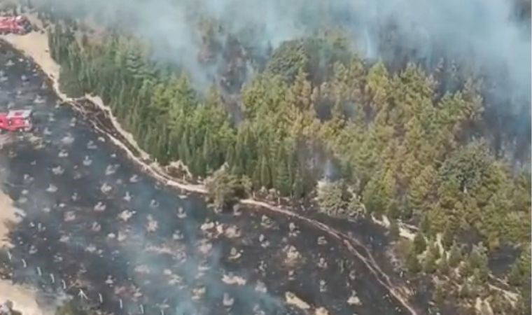 Madenle yok olan orman alanı yangınla yok olandan fazla