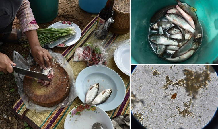 Tek bir lokması bile karaciğer kanseri yapabiliyor... 'Her yıl 20 bin kişinin ölümüne neden oluyor...'