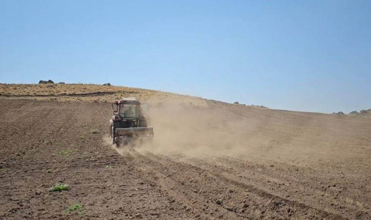 Süphan Dağı eteklerinde ekim başladı: 1 yıl sonra hasat edilecek...
