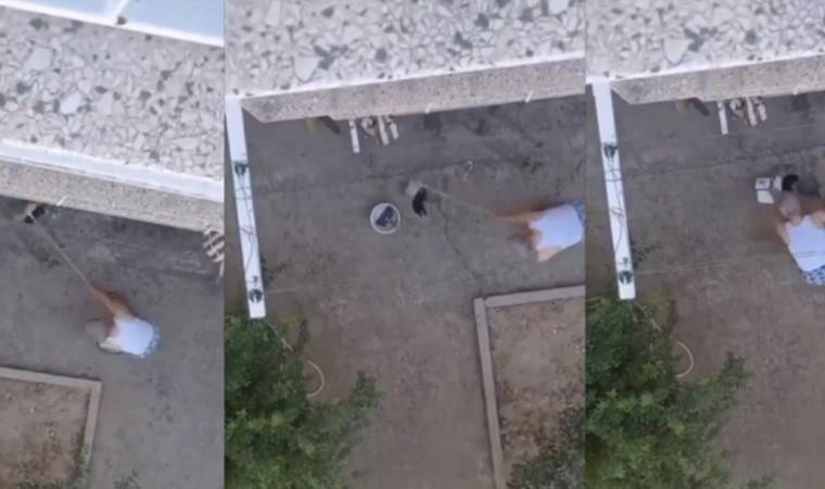 Yavru kedileri süpürge sapıyla öldüren cani için karar çıktı