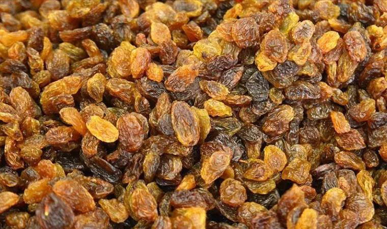 Çekirdeksiz kuru üzüm sezonu 490 milyon dolar ihracatla kapattı