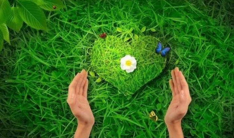 İşletmeler için sürdürülebilir büyümenin ve yeşil pazarlara açılmanın anahtarı