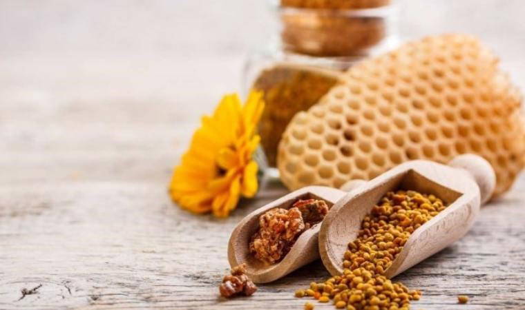 Okula başlayan öğrencilerin bağışıklığı için propolis önerisi