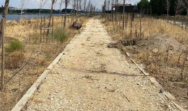 İktidarın Edirne’deki seçim vaadi bakımsız kaldı