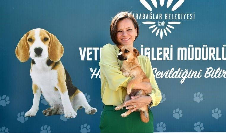 Karabağlar Belediyesi sokak hayvanlarına sahip çıkıyor