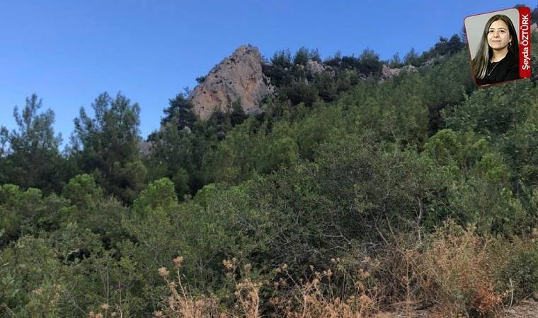 Yönetmeliğe dikkat çekildi