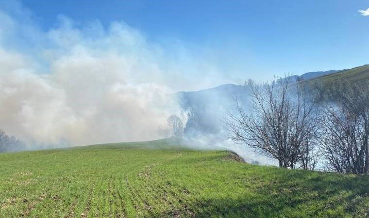 Adana'da orman yangını
