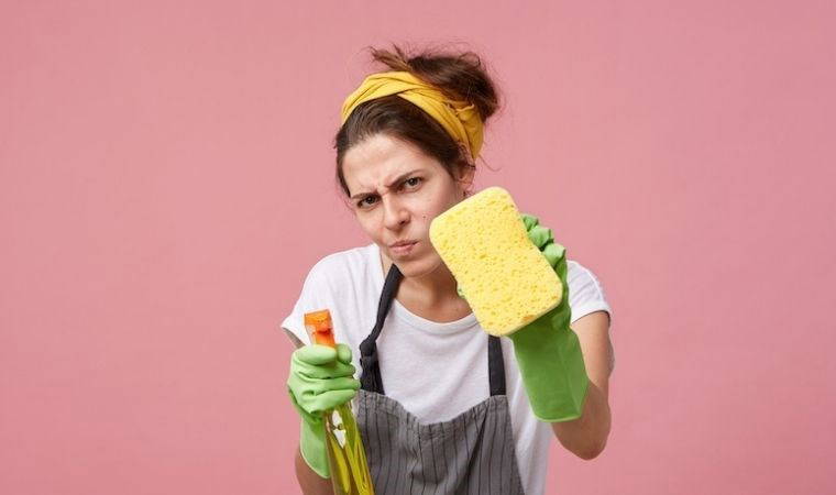 Evinizin havasını taze ve alerjenlerden arındırılmış hale getirin: Ev tozu akarlarına karşı 7 doğal çözüm