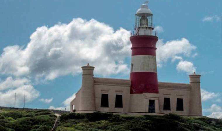 Okyanusun kadim bilgeliği - Elif Günsel