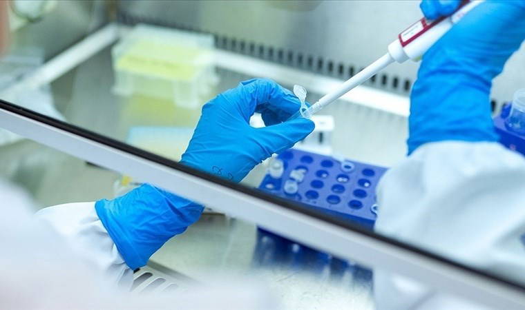 'Kadınlar, erkeklere kıyasla iki kat daha fazla...'