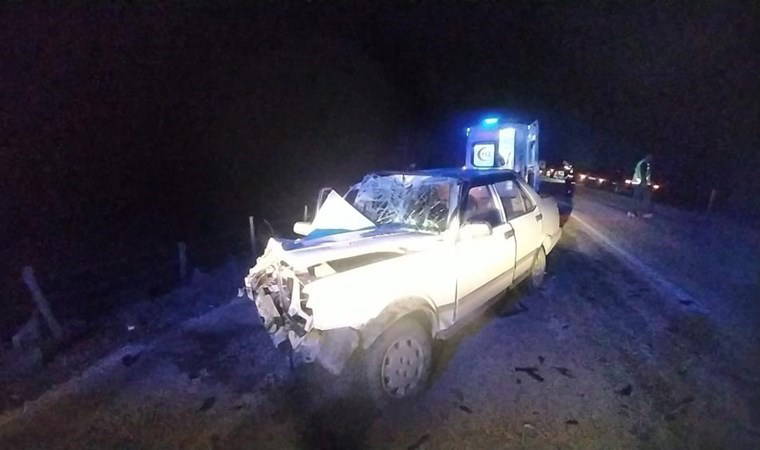 Yaşlı kadın feci kazada hayatını kaybetti