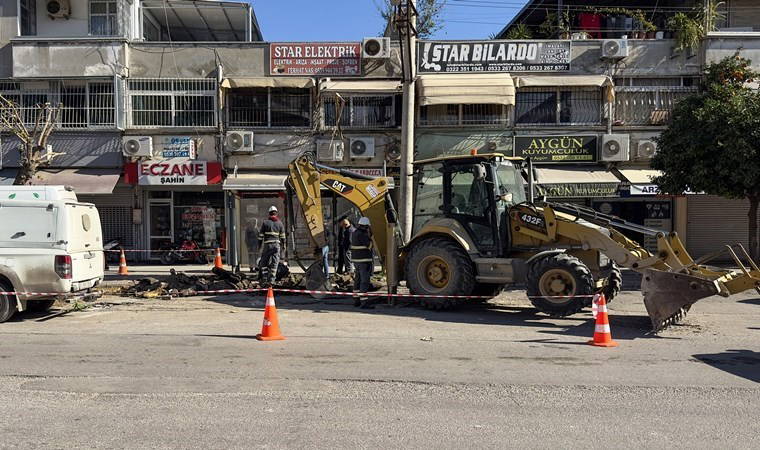 Adana'da ağaç sökümü sırasında yangın çıktı!