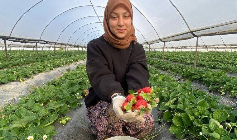 Fiyatı 1 ayda dip yaptı: 400 TL'den 90 TL'ye düştü