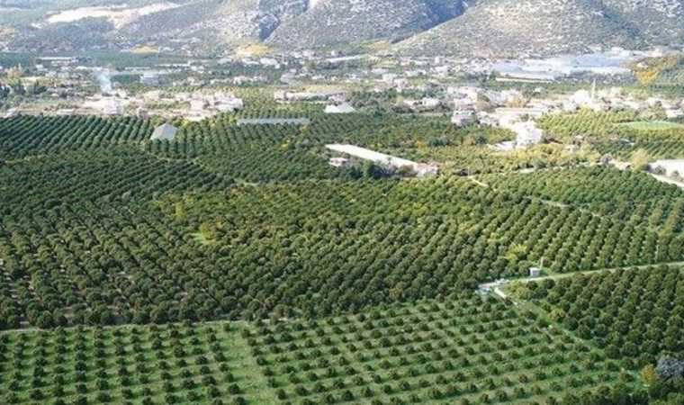 Kaş'ın ortasından geçecek projeye 'ÇED olumlu' kararı: Her şey 3 dakika hız için