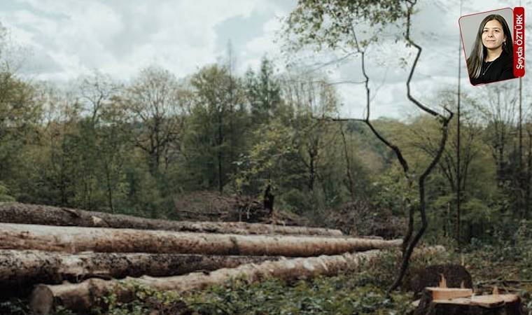 Kalker ocağı ve kırma eleme tesisini 147 futbol sahası büyüklüğündeki alana yaymak istiyorlar