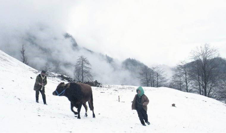 Kalandar Soğuğu filminin konusu ne? Kalandar Soğuğu filminin oyuncuları kim?