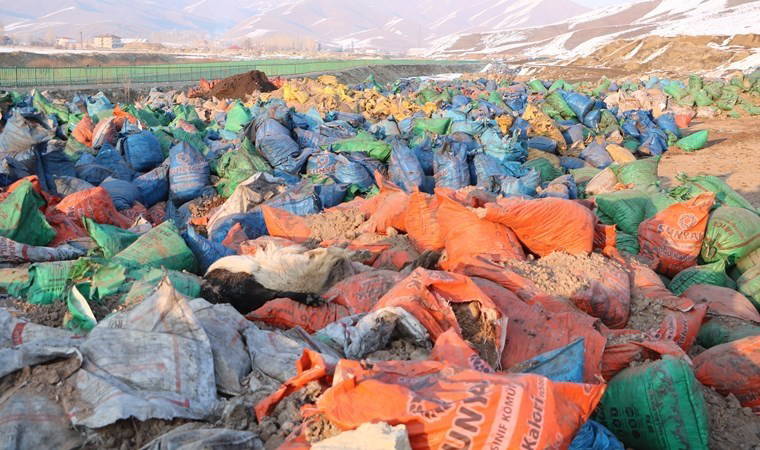 Yüksekova'da kül dökülen alanda 20 ölü köpek bulundu