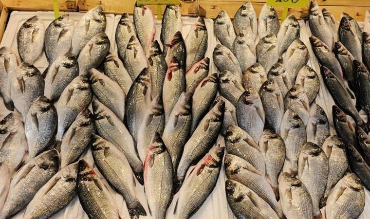 Sayısı azaldı fiyatı arttı: Kilosu 300 TL