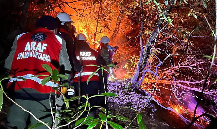 Rize'de anız yangını paniği! Alevler ormana sıçradı: 15 dönüm alan zarar gördü
