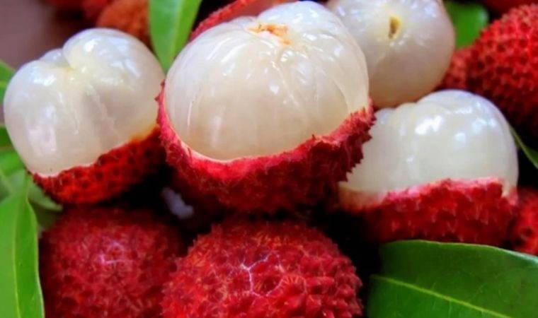 Mersin'de yetişiyor: Portakaldan 20 kat fazla C vitamini içeriyor