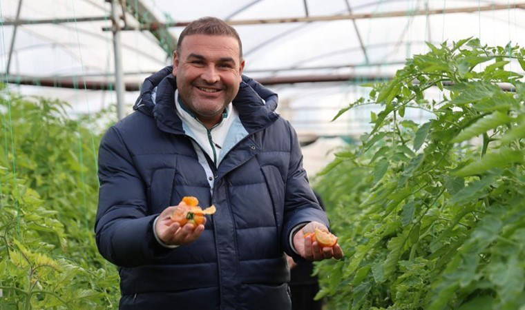 400 metrekareyle başladı, 30 dönüme ulaştı! İlk hasadı başladı...