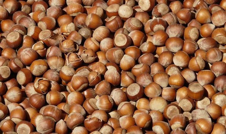 'Kimden talimat alındı?'