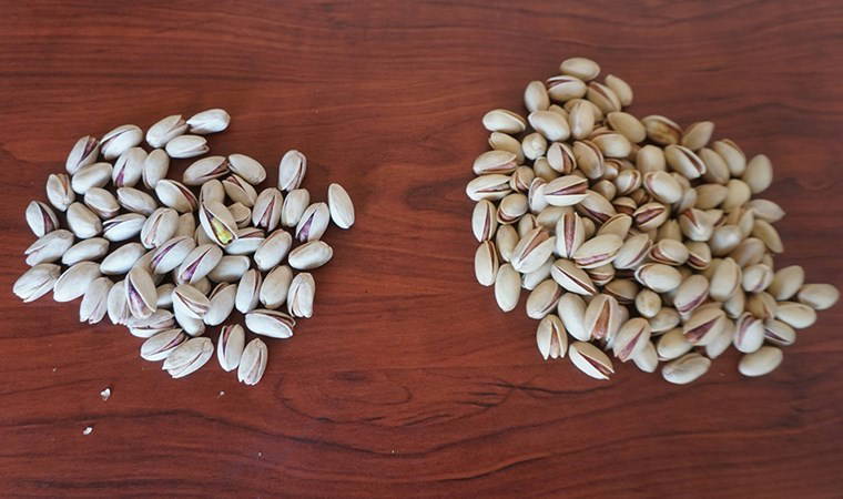 'Kaçak İran fıstığı' uyarısı: Ayırt etmenin tek bir yolu var