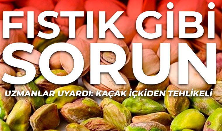'Kaçak İran fıstığı' uyarısı: Ayırt etmenin tek bir yolu var