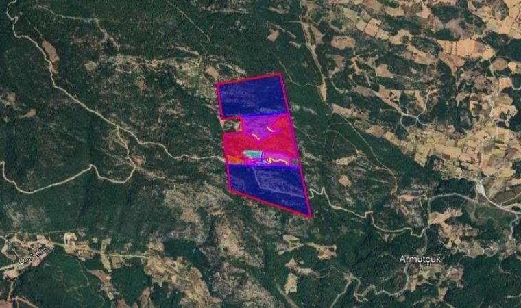 "Ormanların yok olması politikalarınıza uygun mu?"