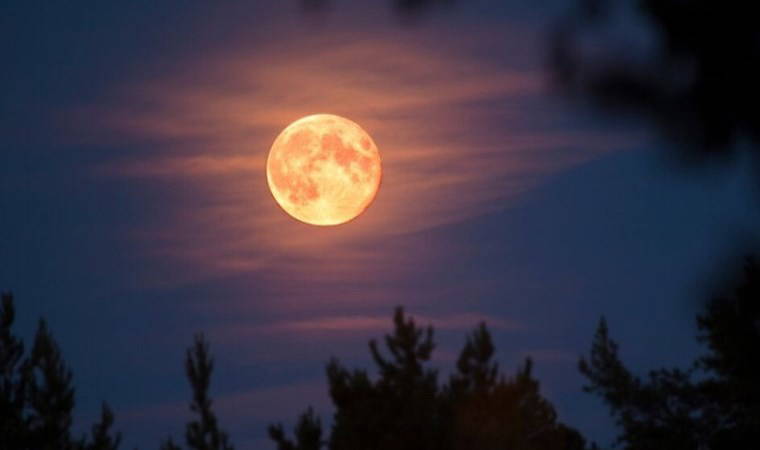 Değişim ve dönüşümlere hazır olun! 12 Şubat Aslan Dolunayı ve burçlara etkileri