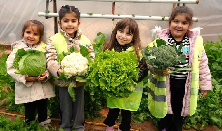 Mersin'de sevimli hasat: Minik eller ilk mahsulleri topladı