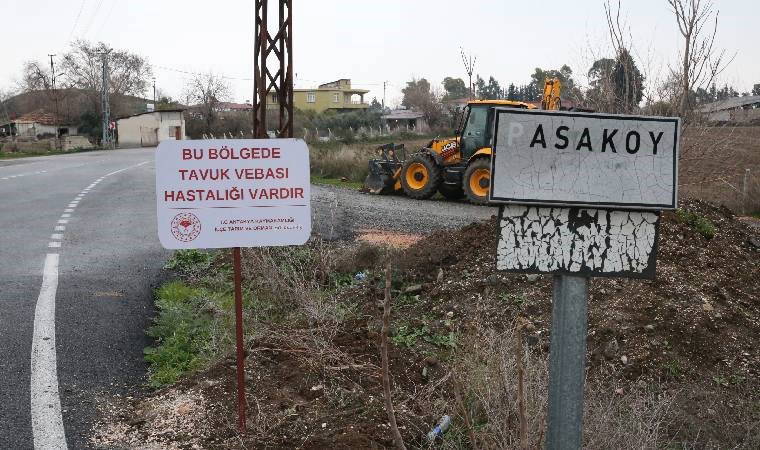 Hatay'da kuş gribi alarmı... Mahalle karantinaya alındı!
