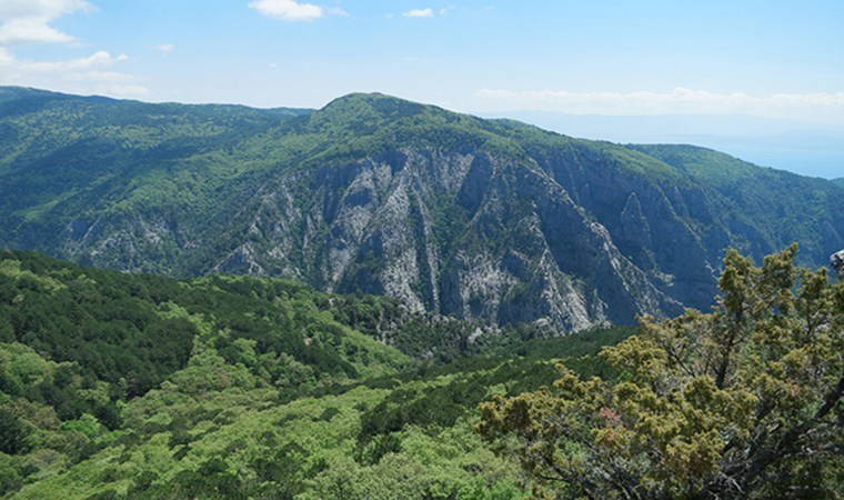 Hukuk mücadelesi devam edecek