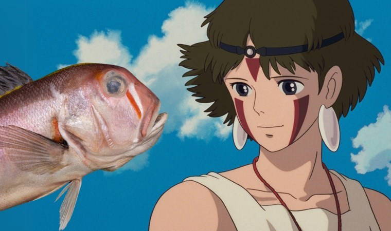 Çin'de keşfedildi 'Sanae' ismi verildi