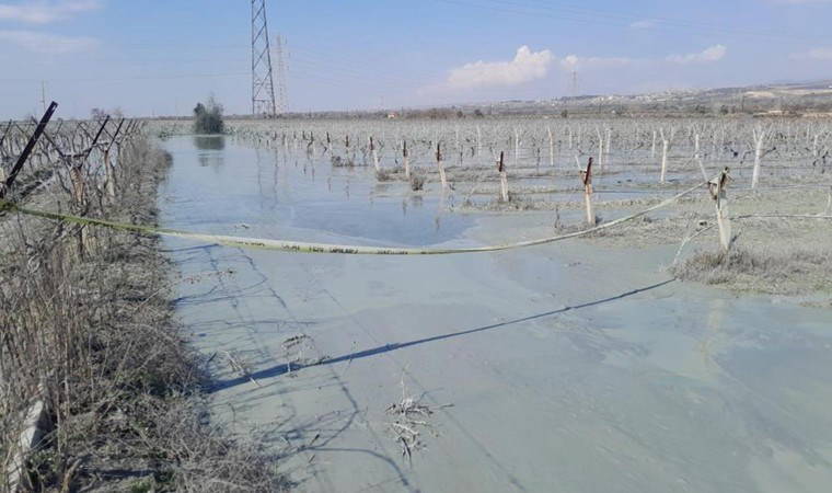 Üzüm bağı içinde korkutan patlama!