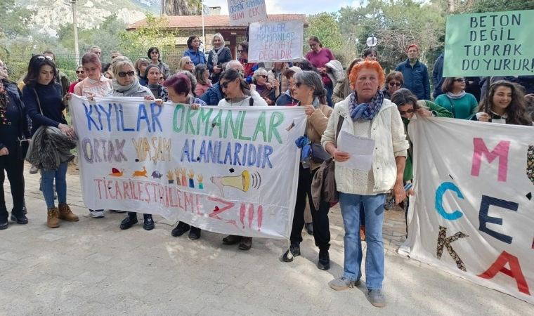 Akyaka Orman Kampı’ndaki ağaç kıyımına tepki