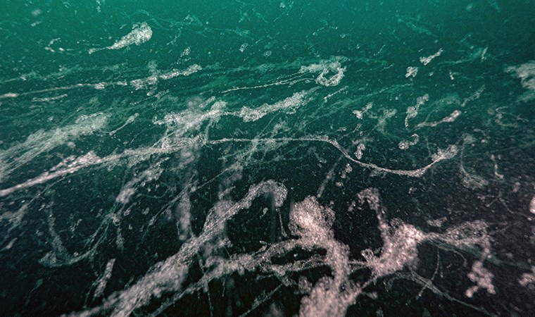 Marmara Denizi’ndeki müsilaj için ‘yüzer bitki adaları’ çözümü