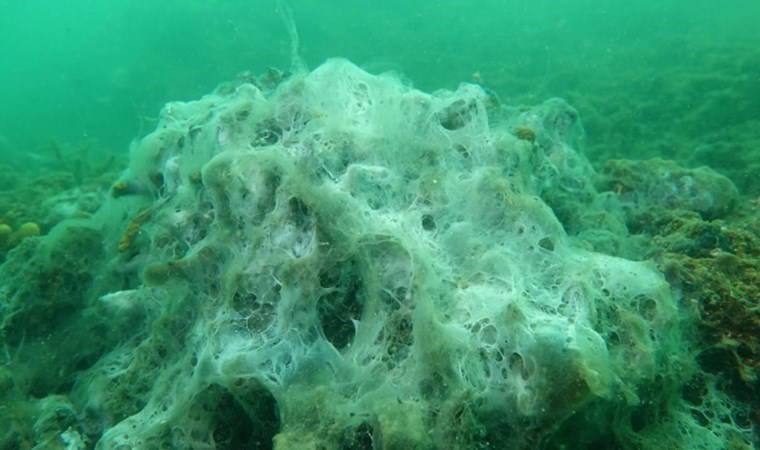 Felaketin yeni görüntüleri ortaya çıktı