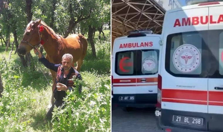 Cezaevinden izinli çıkan babasını öldürmüştü: Annesi tahliye edildi