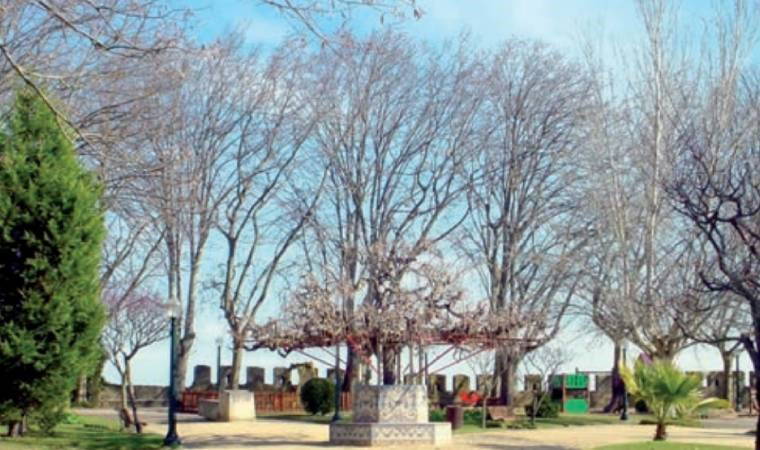 Santarem’de bir gezinti - Ayşenur Tanrıverdi