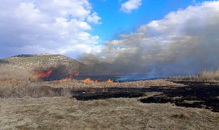 Gölhisar Gölü'ndeki sazlık yangınına ilişkin 1 gözaltı