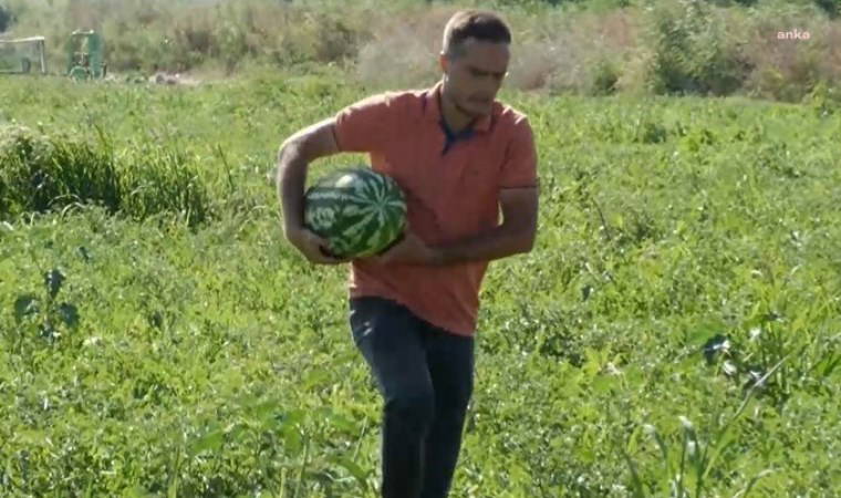 'Çiftçinin anası ağlıyor' demişti...